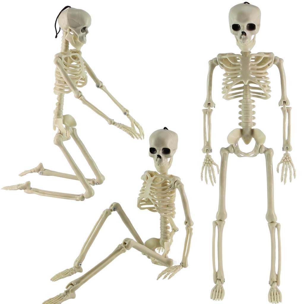 Halloween Human Skeleton Oversized Poseable Size Life Decoration Party Prop 41cm