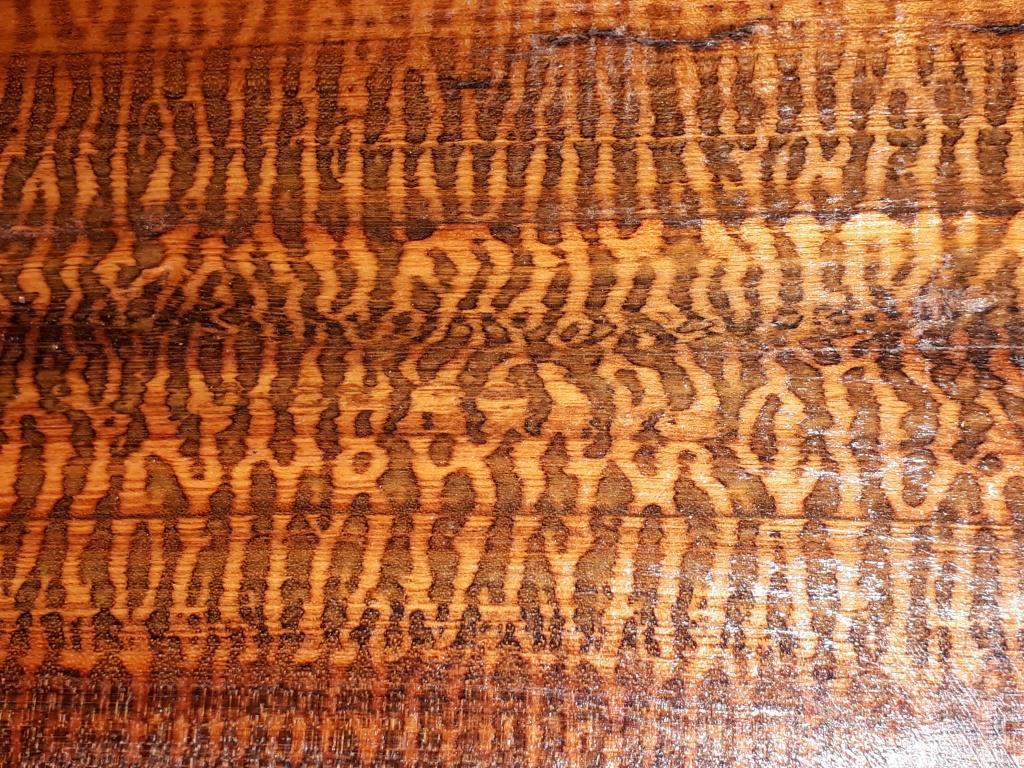 10 pcs 5/8" x 5/8 x 14" Snakewood Blank