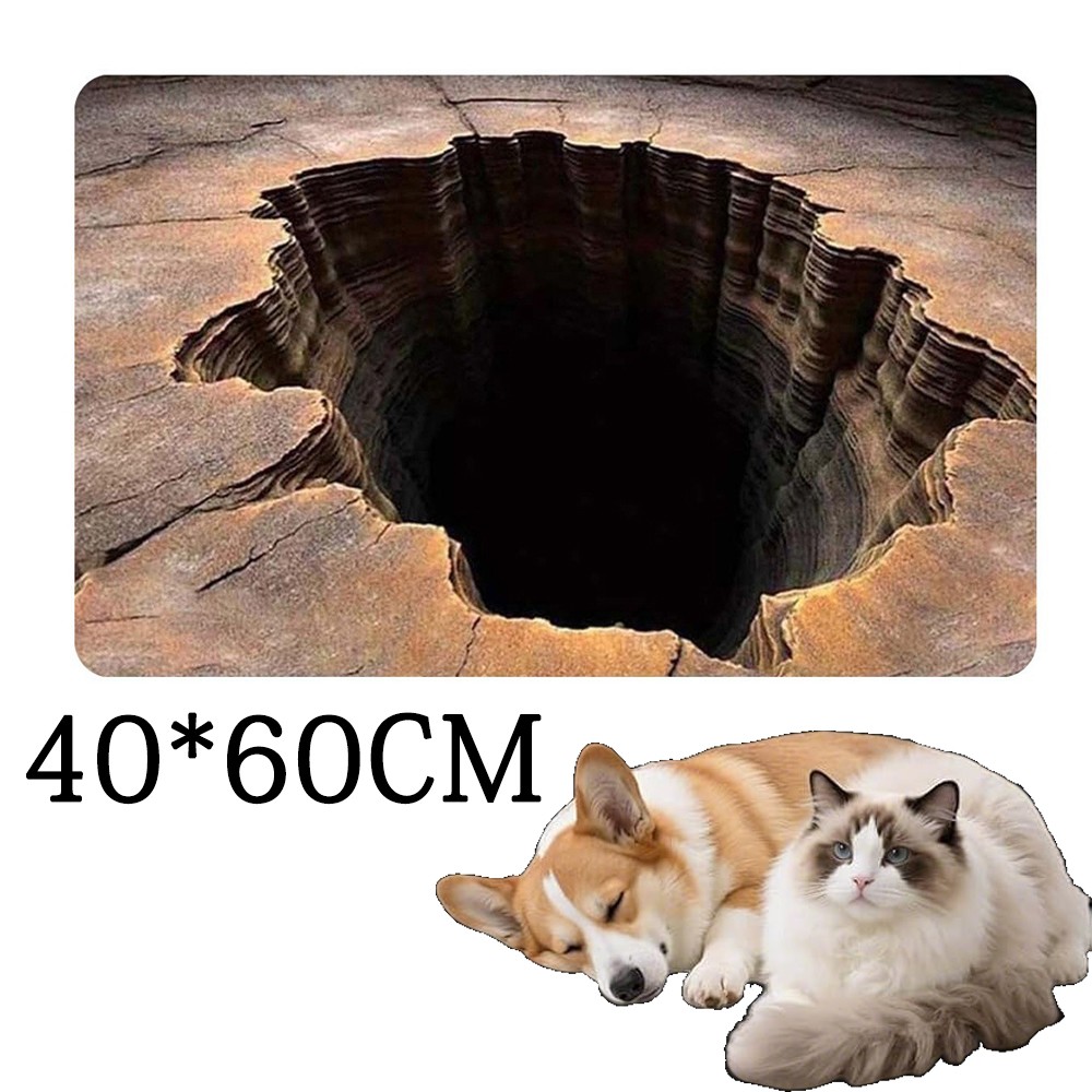 Design 3D Rugs Optical Illusion Hole For Door Entrance Bath and Stair Zones