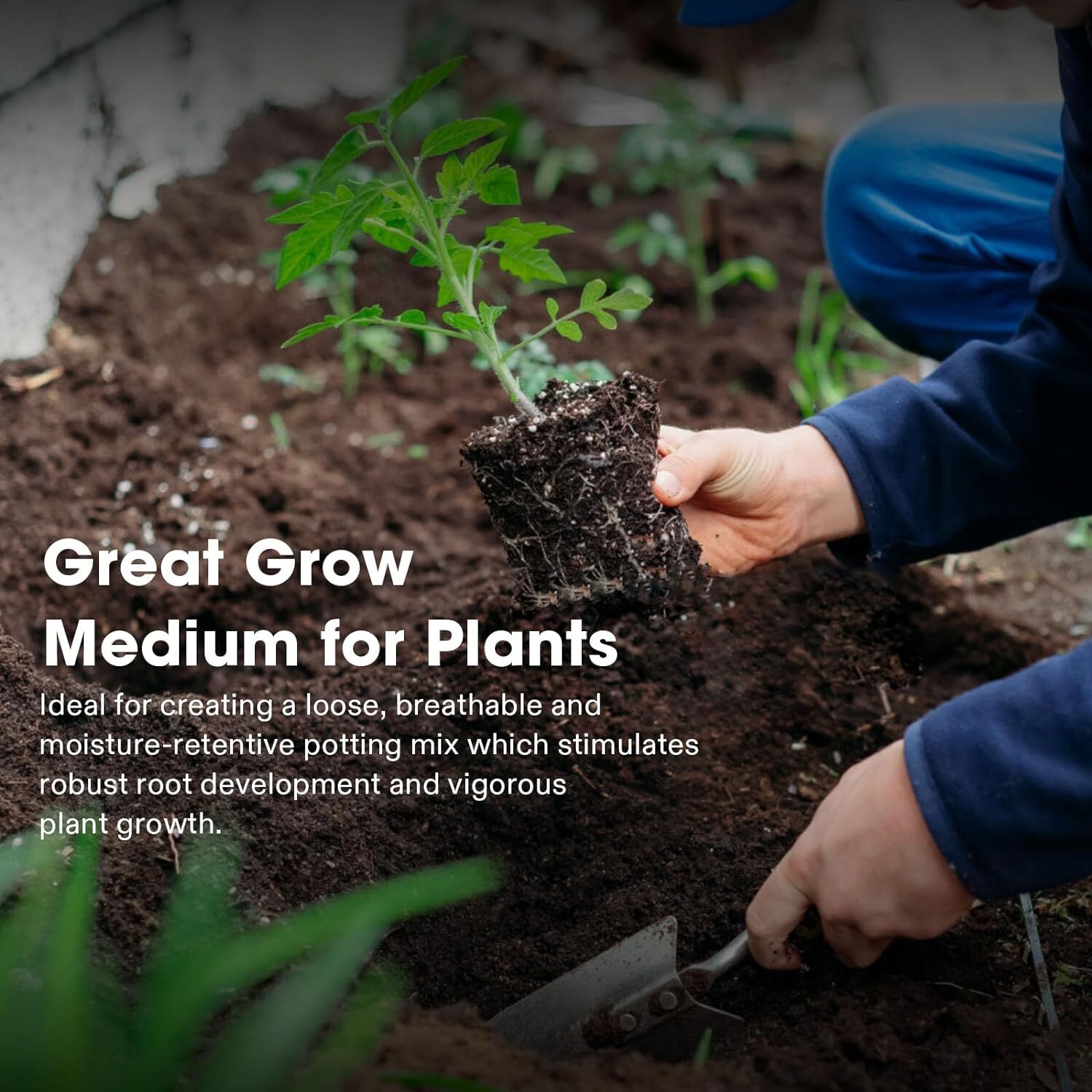 VIVOSUN Coco Coir Brick,100% Natural Organic Compressed Coconut Coir Fiber