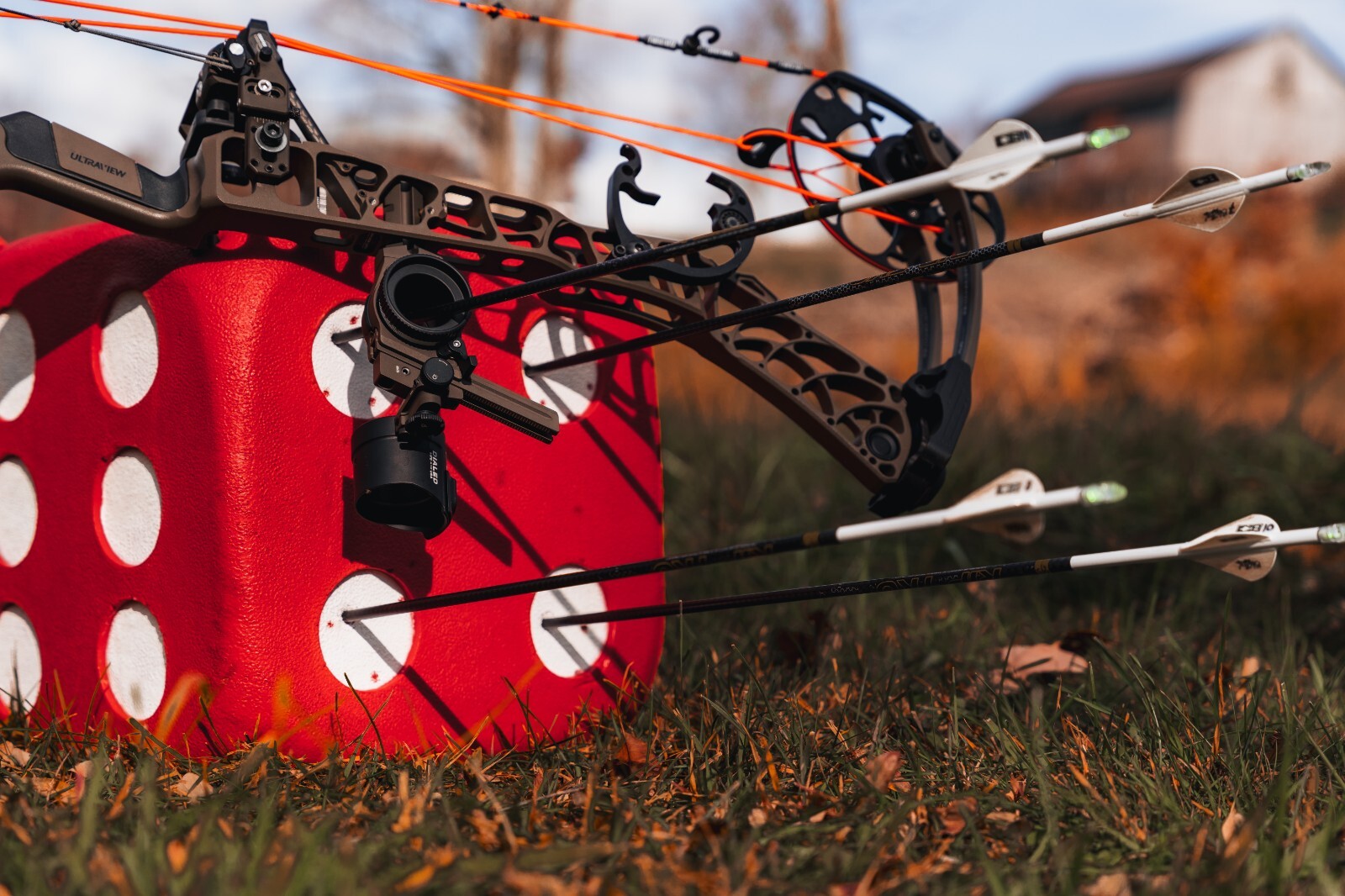 Morrell High Roller Archery Target