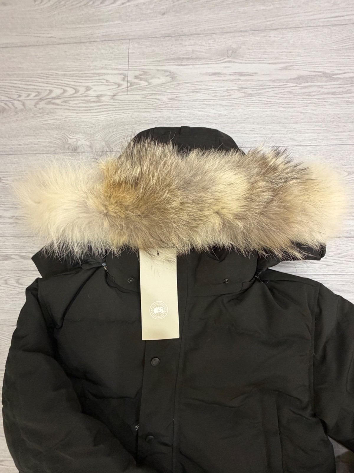 Canada goose jacket