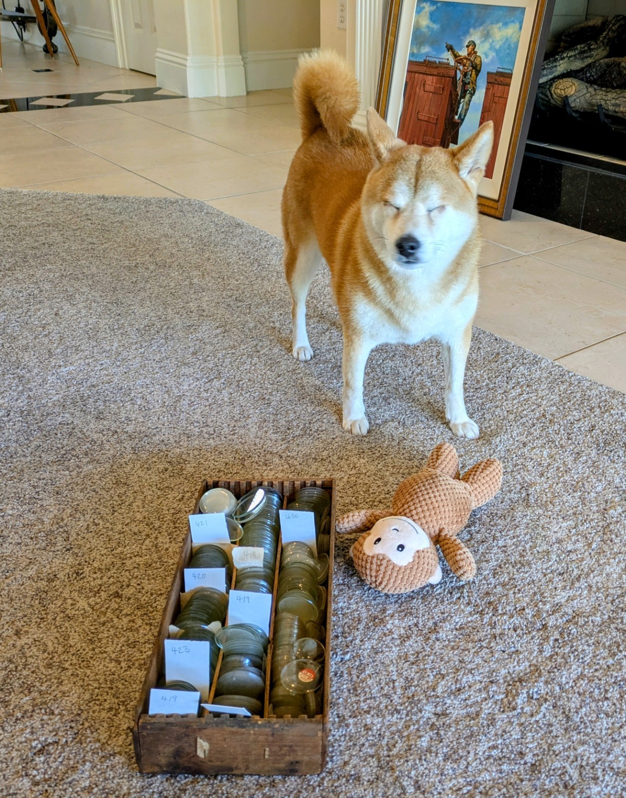 Pocket Watch Crystals, Multiple Sizes, Thousands Available, 3 Lenses / Set, NOS