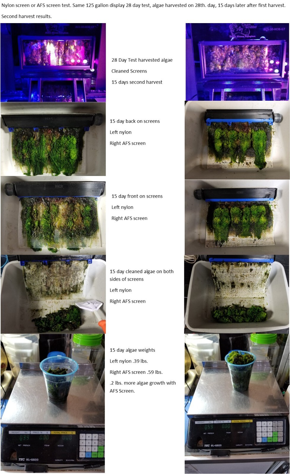 Algae Clean Scrubber ACS-2-MINI (Internal) Hang on Back or in Small Sump 9VDC