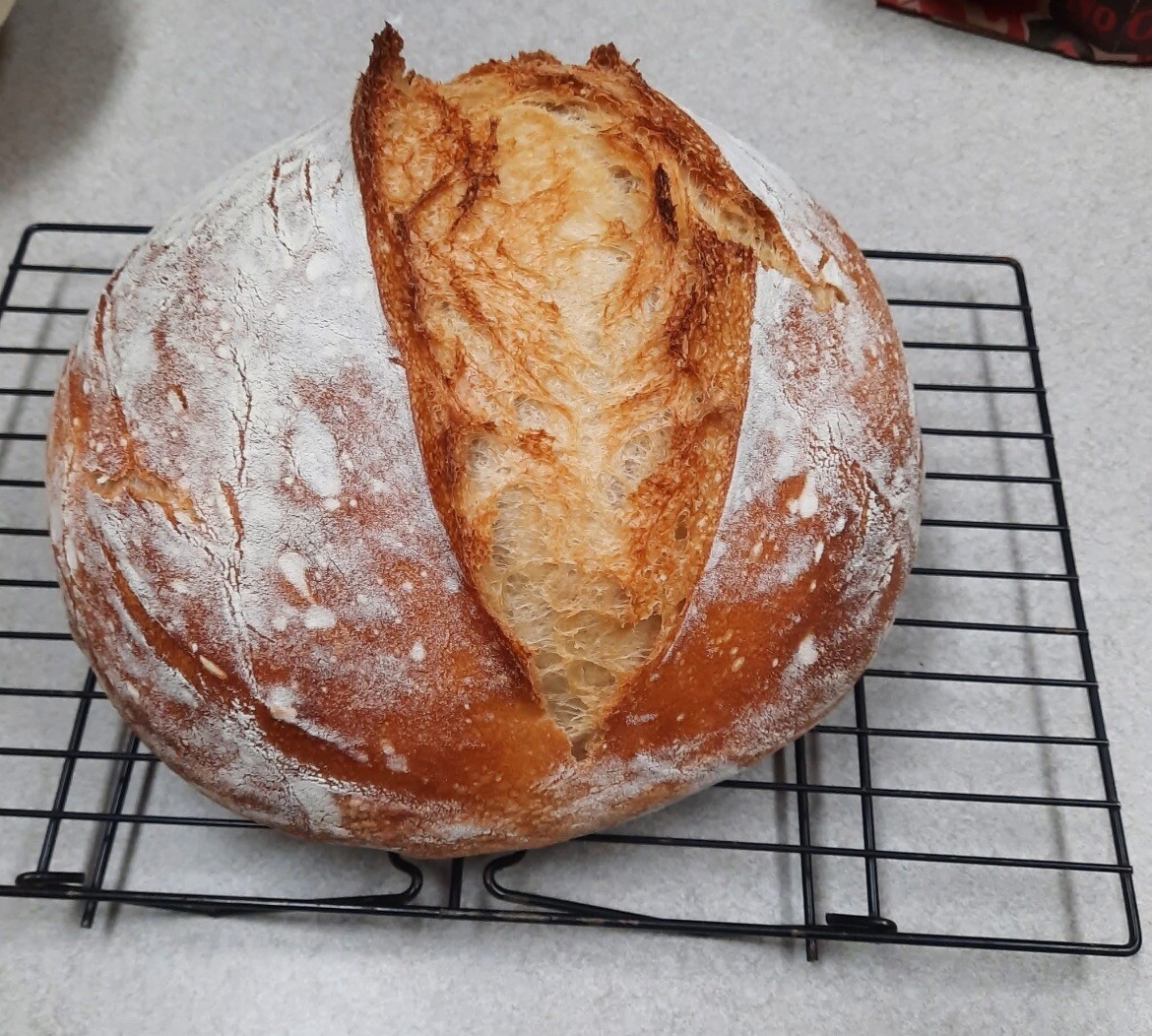 ORGANIC Sourdough Bread Starter San Francisco - Live 200yrs Old BEST SELLER!