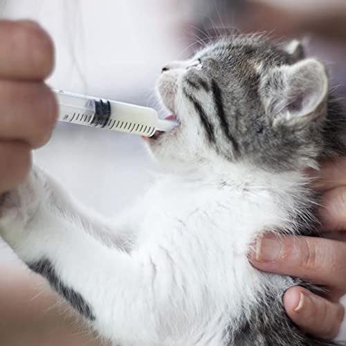 4 Pack 20ml & 60ml Plastic Syringe, Large Syringes Without Needle for Scientific