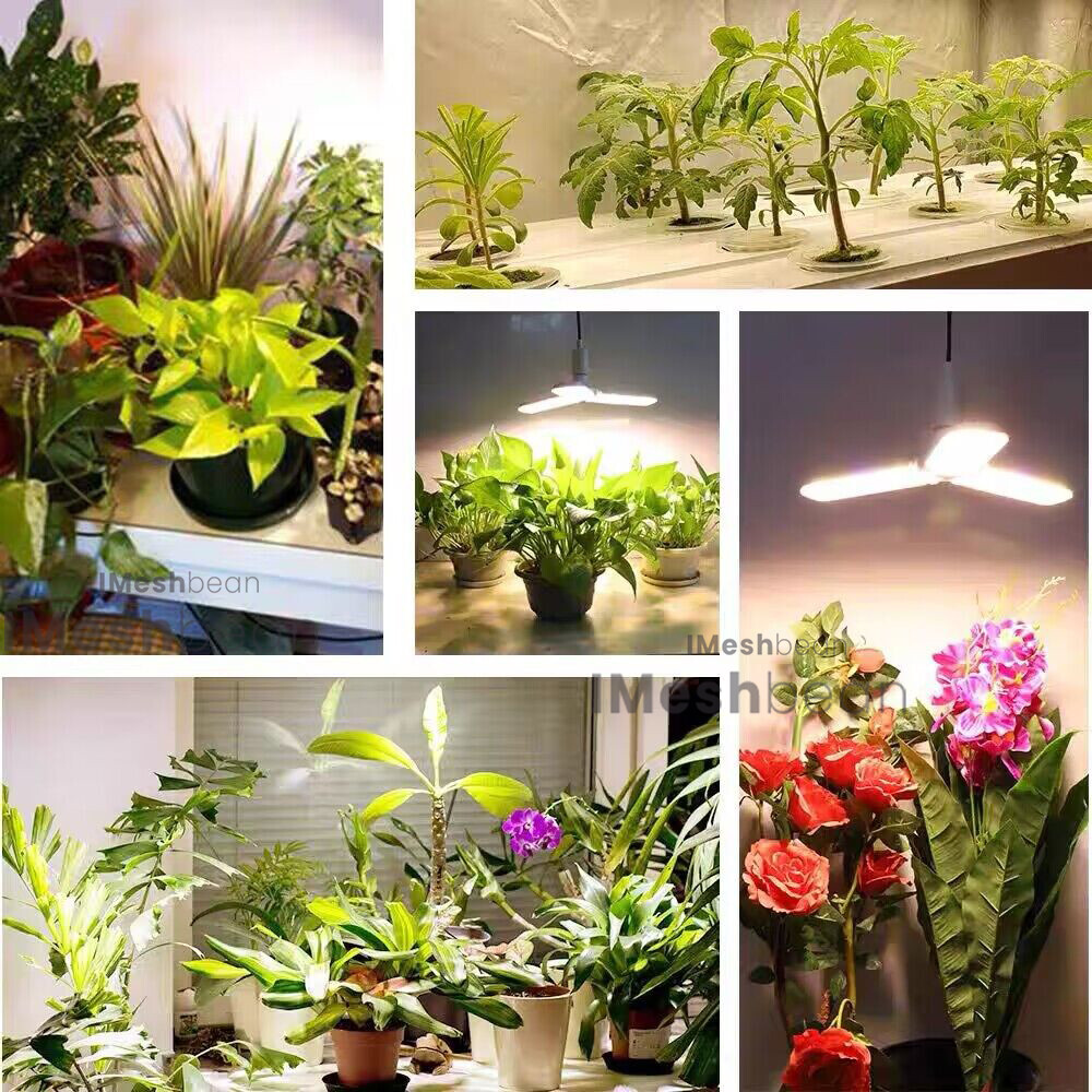 Complete Grow Tent Kit w/LED Full Spectrum Grow Light+Air Filter Kit+Duct Fan