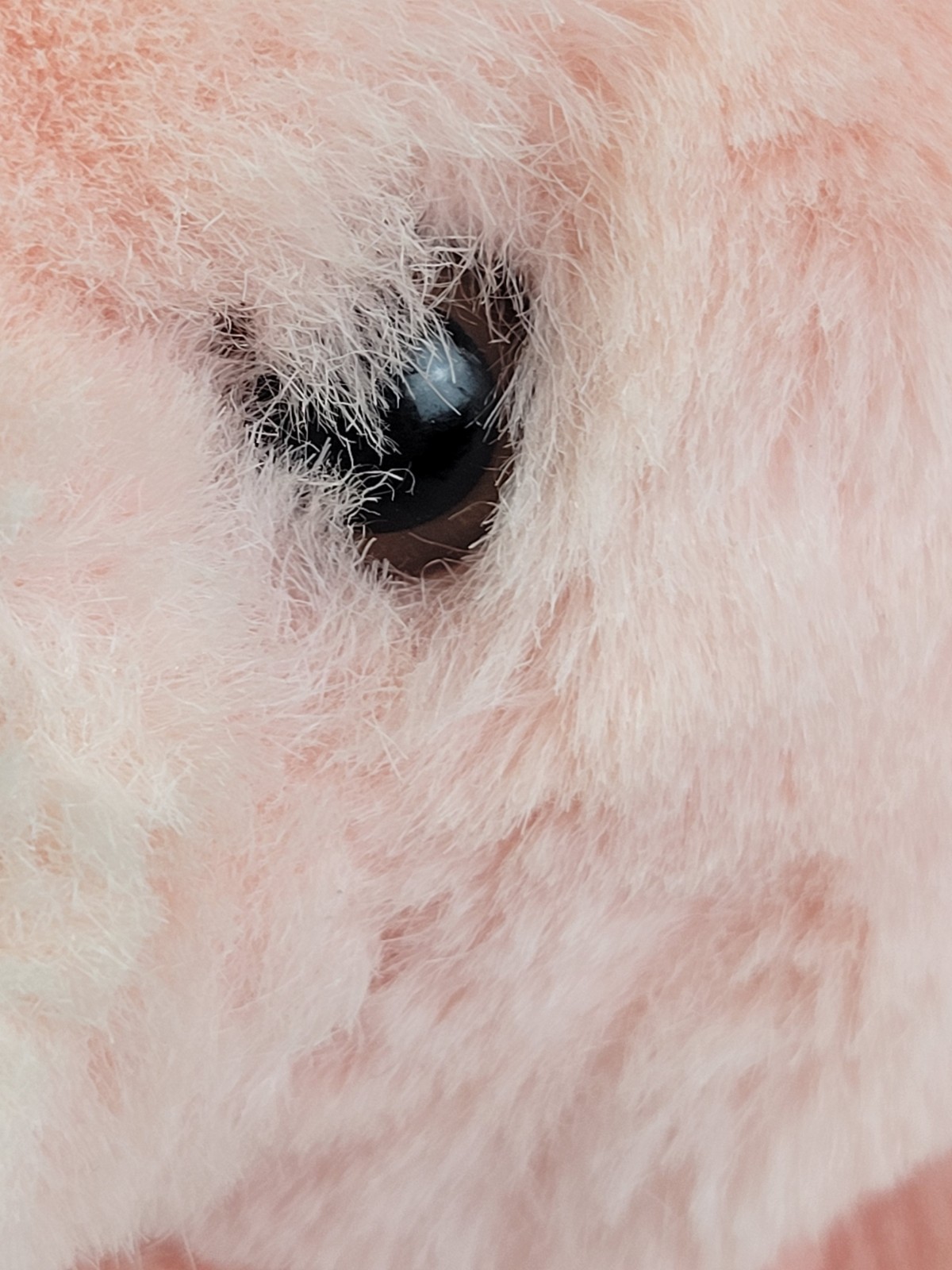 Vtg 1985 Pink Teddy Bear Plush Animal Toy Soft Cute Adorable Stuffed