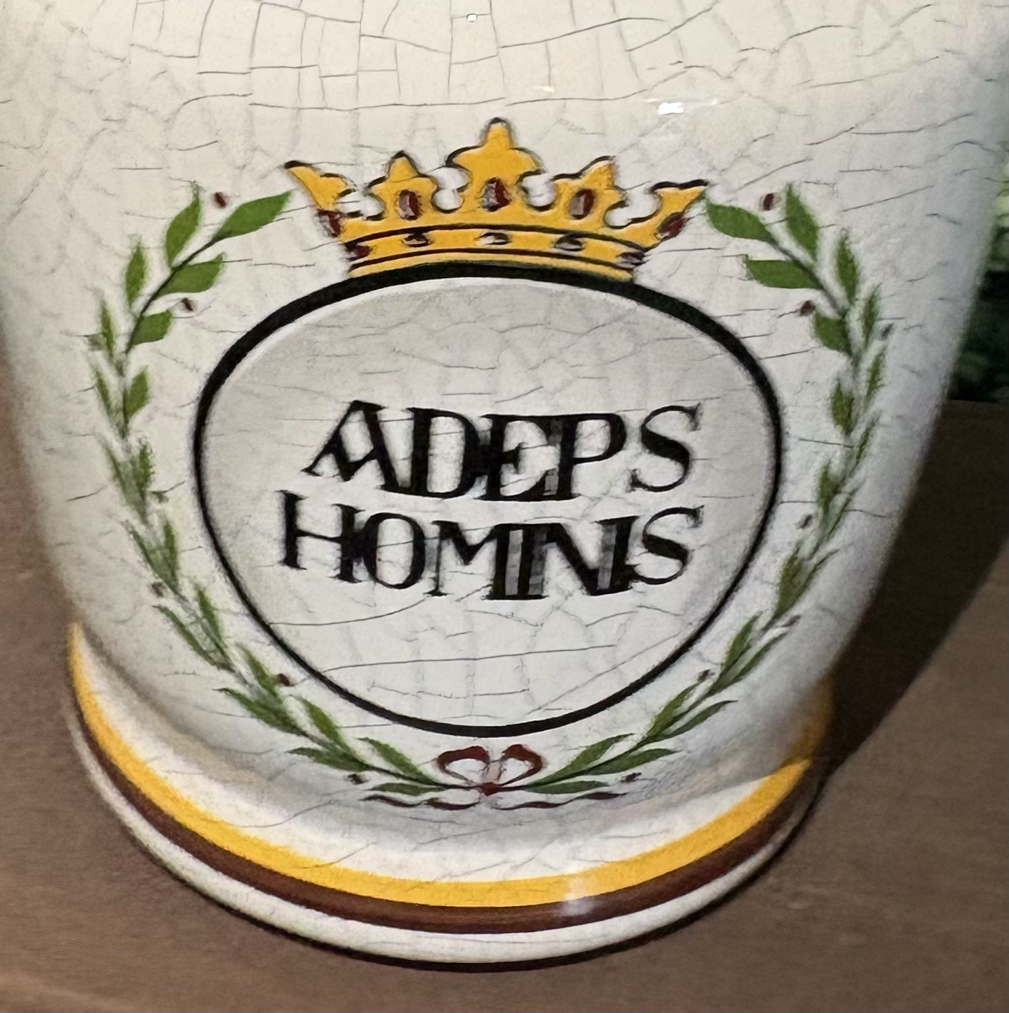 VTG Apothecary Jar Set Herr Keramik West Germany Adeps Hominis, Mel Album