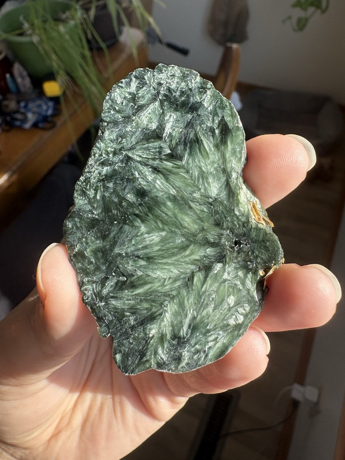 Seraphinite Slab