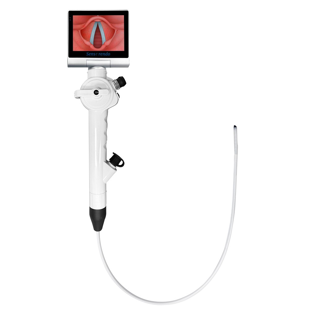 Sensorendo portable flexible laryngoscope with display