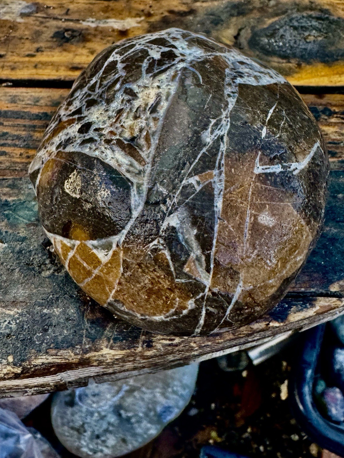 Rocks For Sale Beautiful Matrix Conglomeration Stone Rough Unpolished