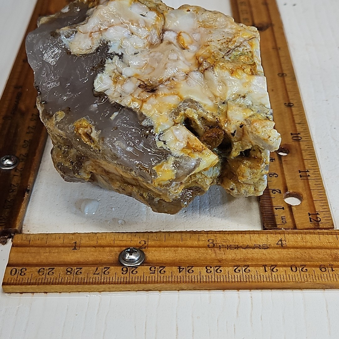 Flower Agate, Madagascar, beautiful color, flower like dendrites 1LB 15.5oz.