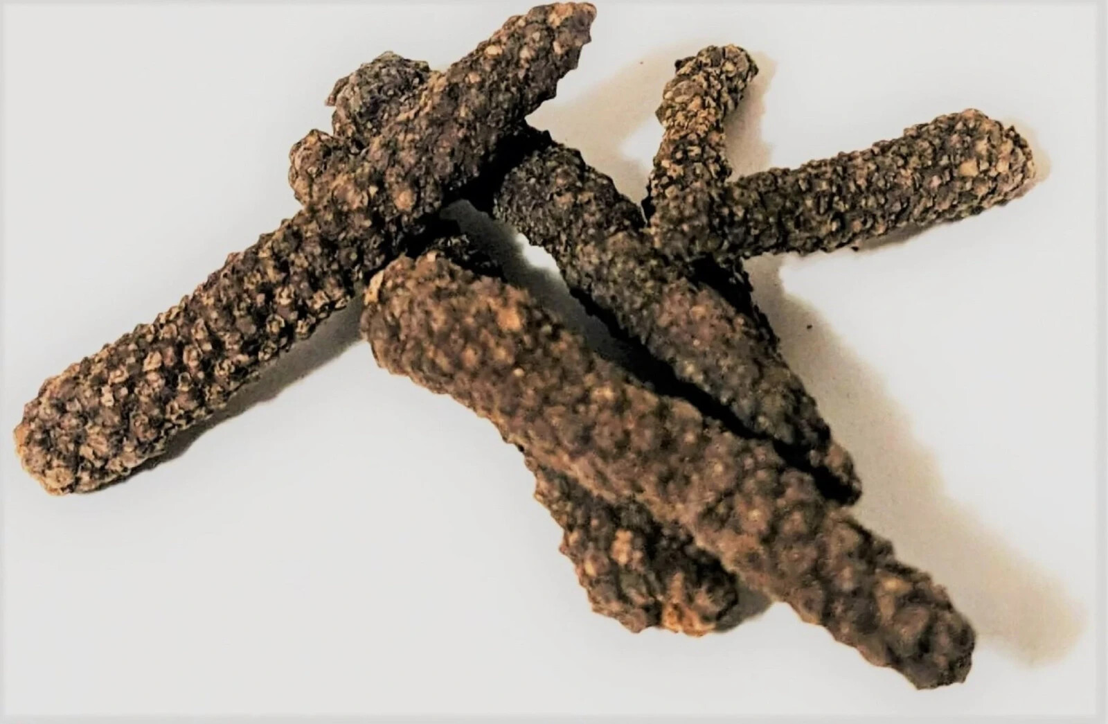 Fresh Organic Whole Long Pepper (Longum, Indian long pepper) Ayurveda
