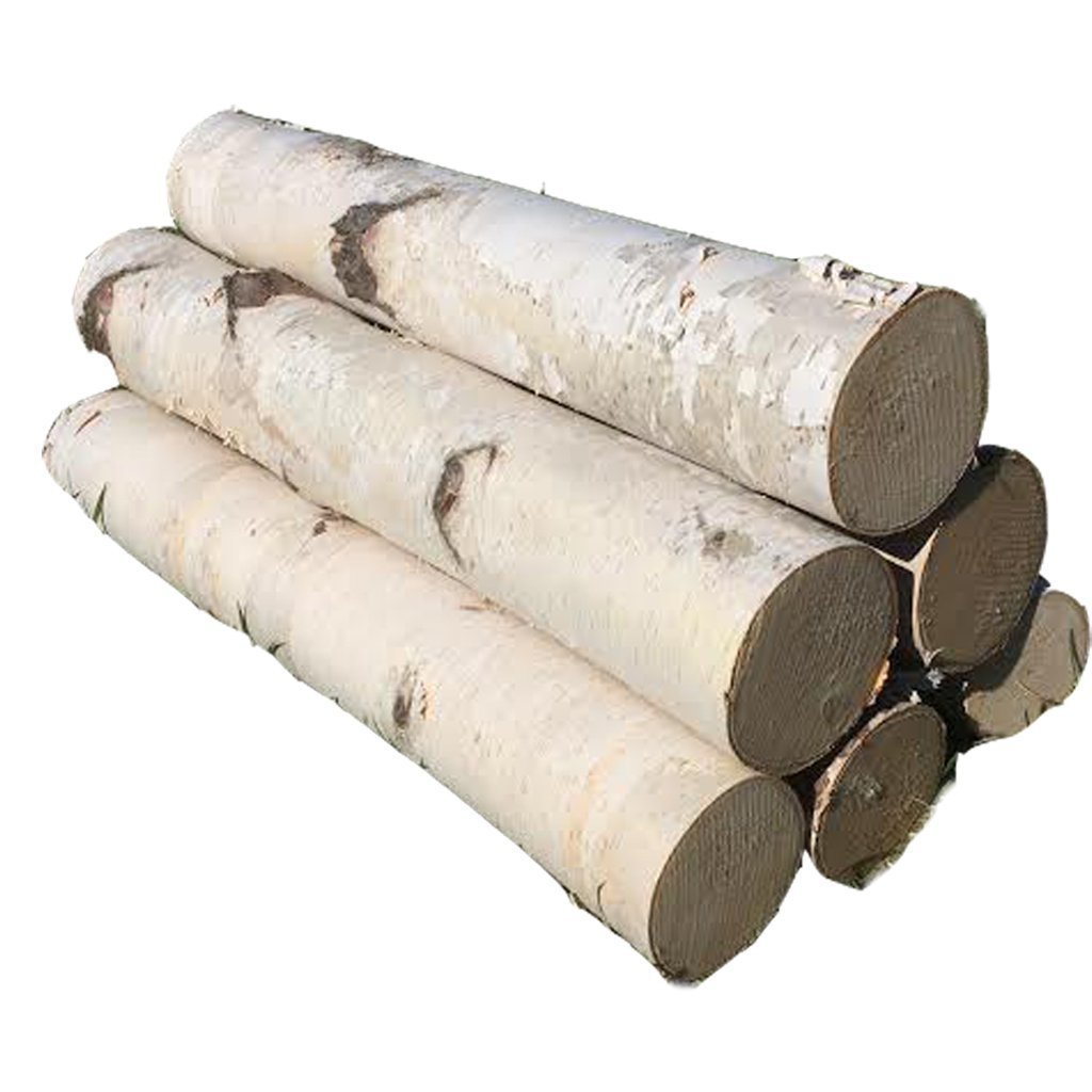 White Birch 18-Inch Fireplace Log Set, New, Free Shipping