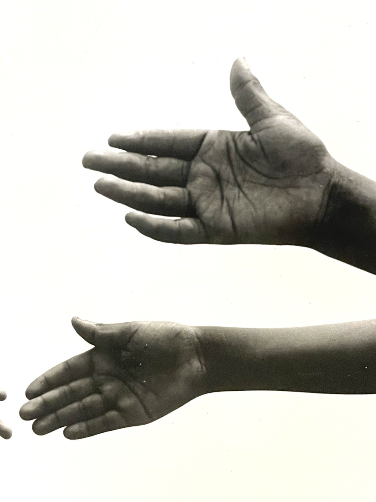 Keith Carter 1991 Silver Gelatin 8 X 10”Photograph titled Hands