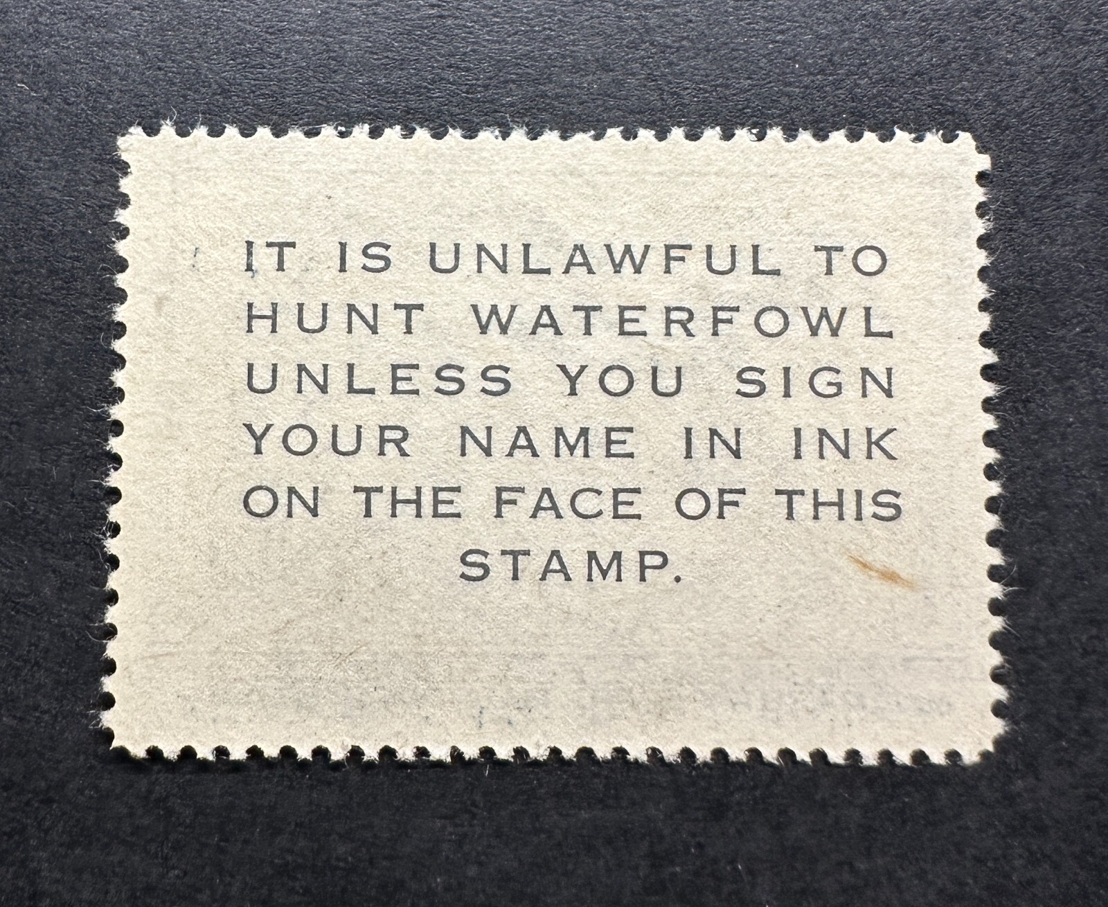 WTDstamps - #RW22 1955 - US Federal Duck Stamp - Mint OG NH