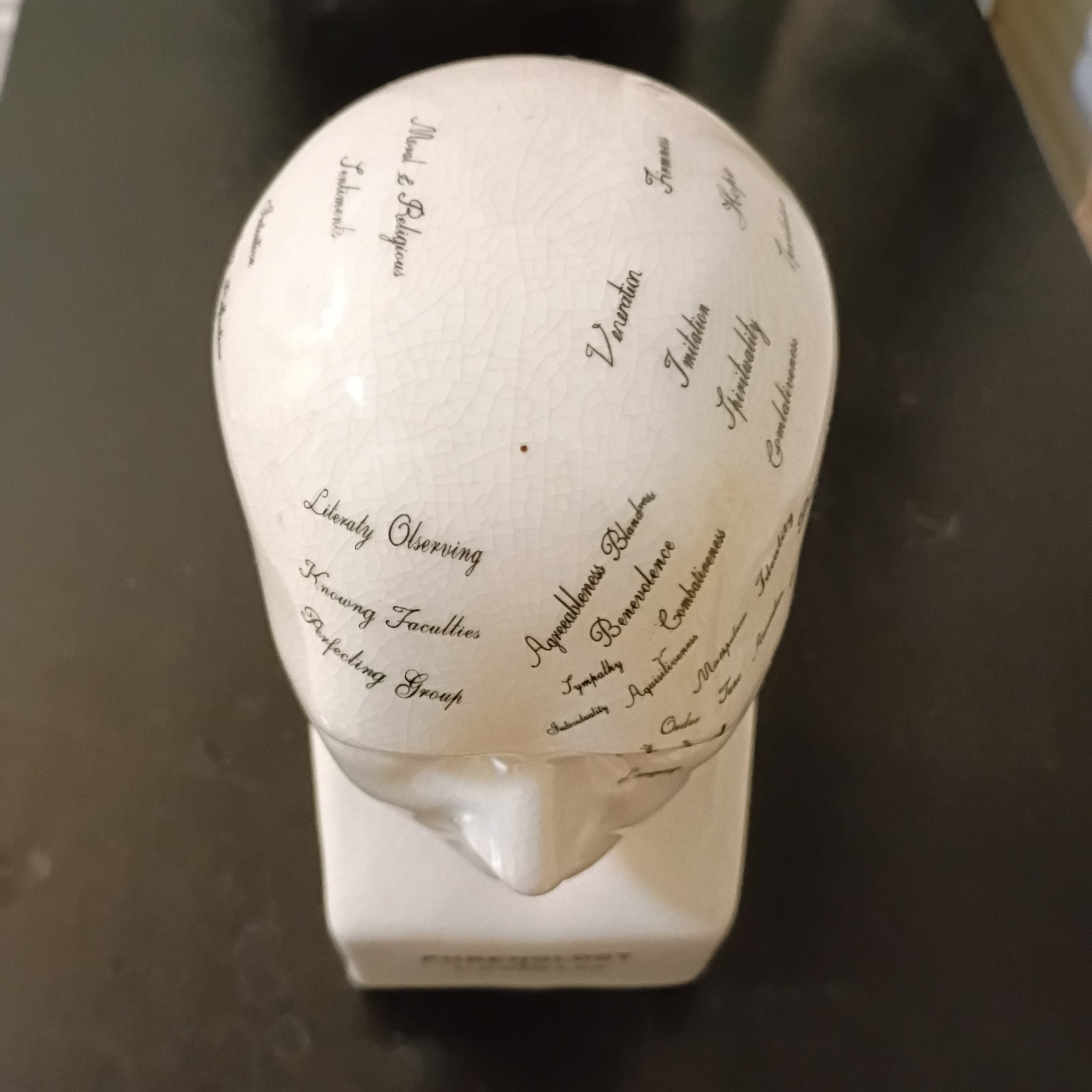 Porcelain L.N. Fowler Phrenology Scientific Psychology 8” Bust Head