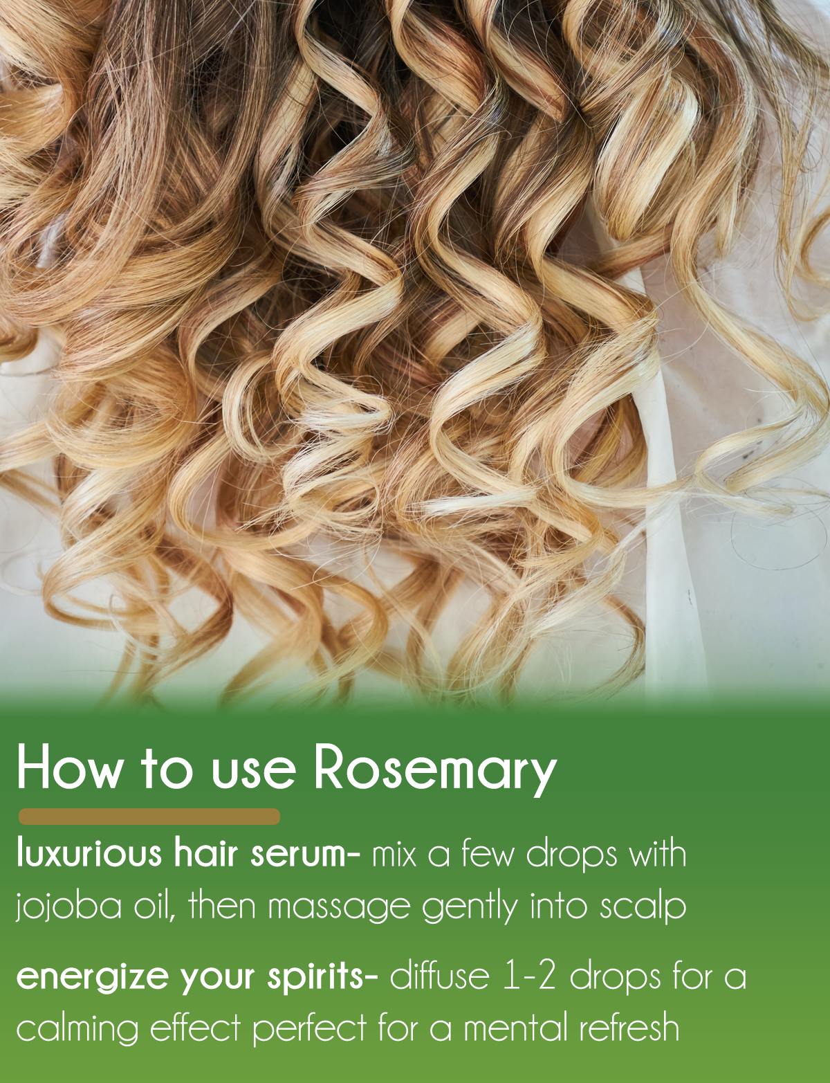 Rosemary Essential Oil 100% Pure Many Sizes FreeShip