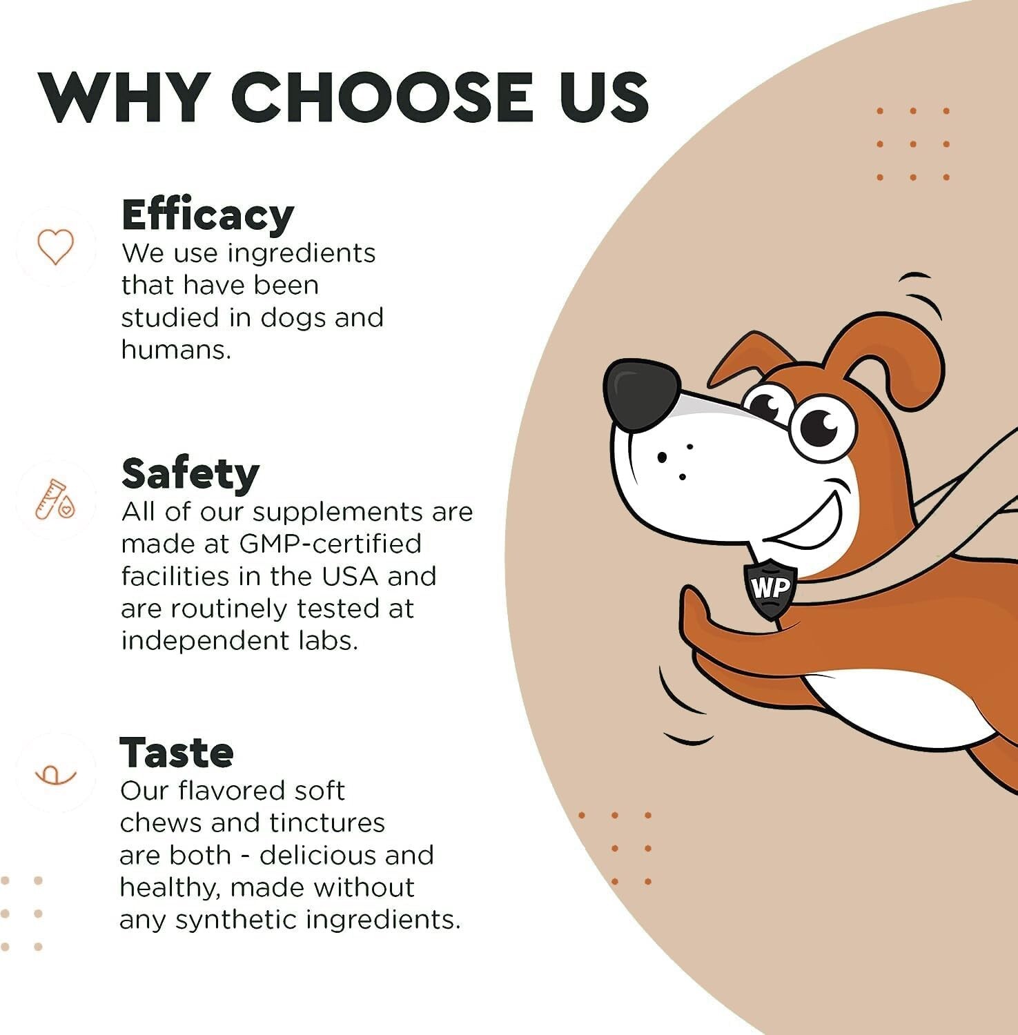 Wonder Paws Immune Support Mushroom Powder for Dogs – 90 Scoops