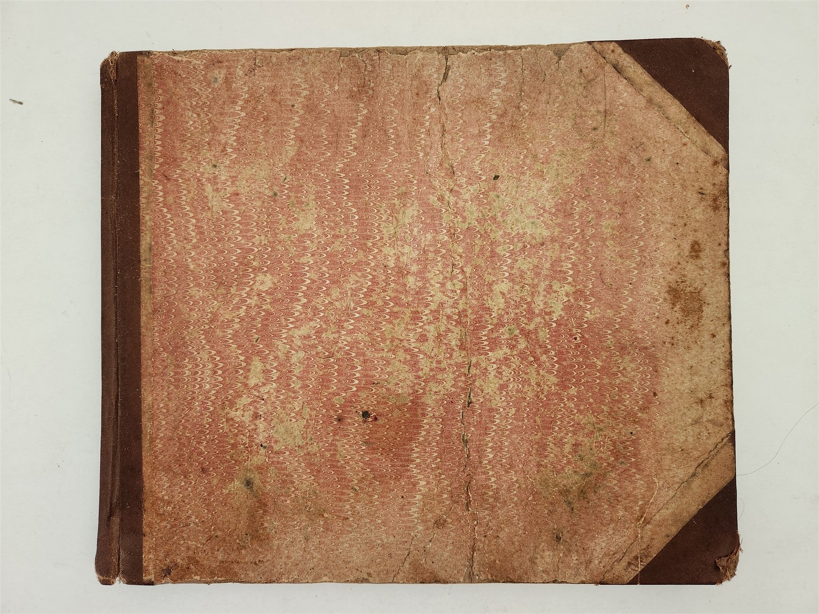 1883 antique SEAWEED pressed ALBUM monterey ca EUGENIE PHILLIPS specimen book