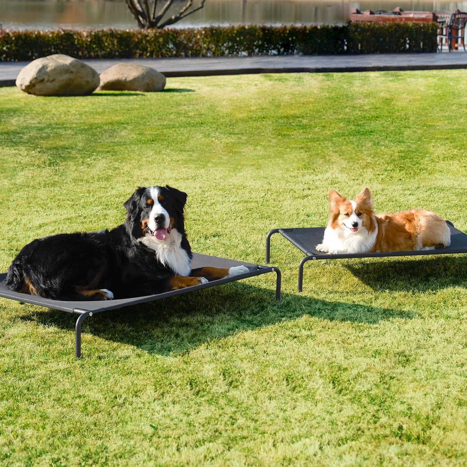 EHEYCIGA XXL Elevated Dog Cot Bed, Raised Outdoor Dog Hammock for Giant Jumbo