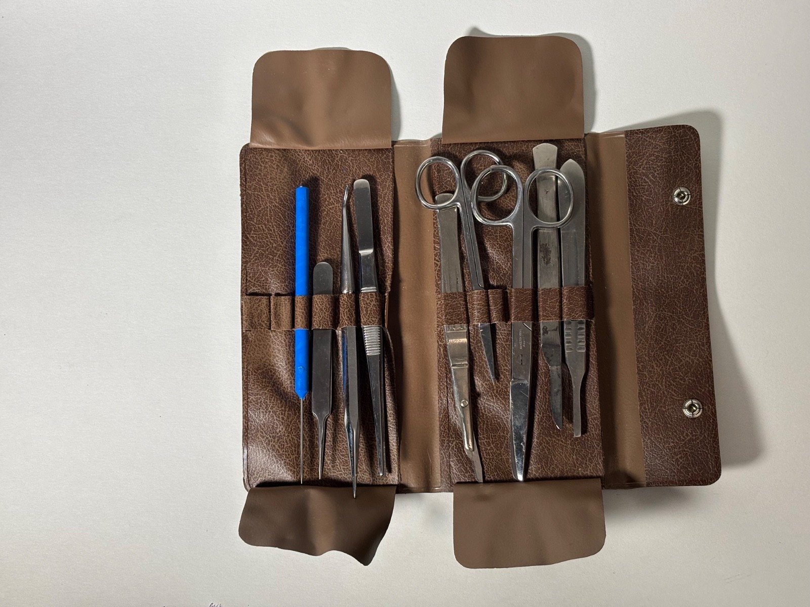 Vintage Dissection/Surgical Kit, Hamilton Bell Scissors, Case