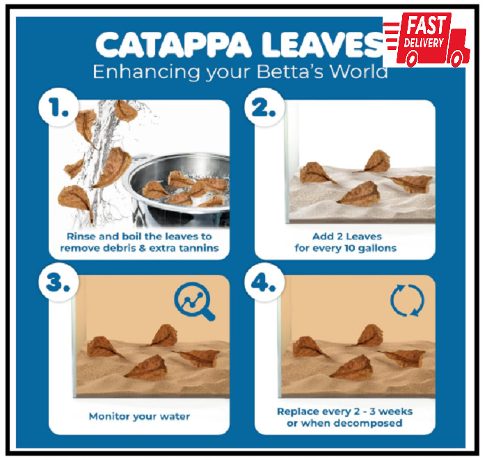 SunGrow 50 pcs Catappa Indian Almond Leaves for Betta Fish Tank Aquarium, 2” Wat