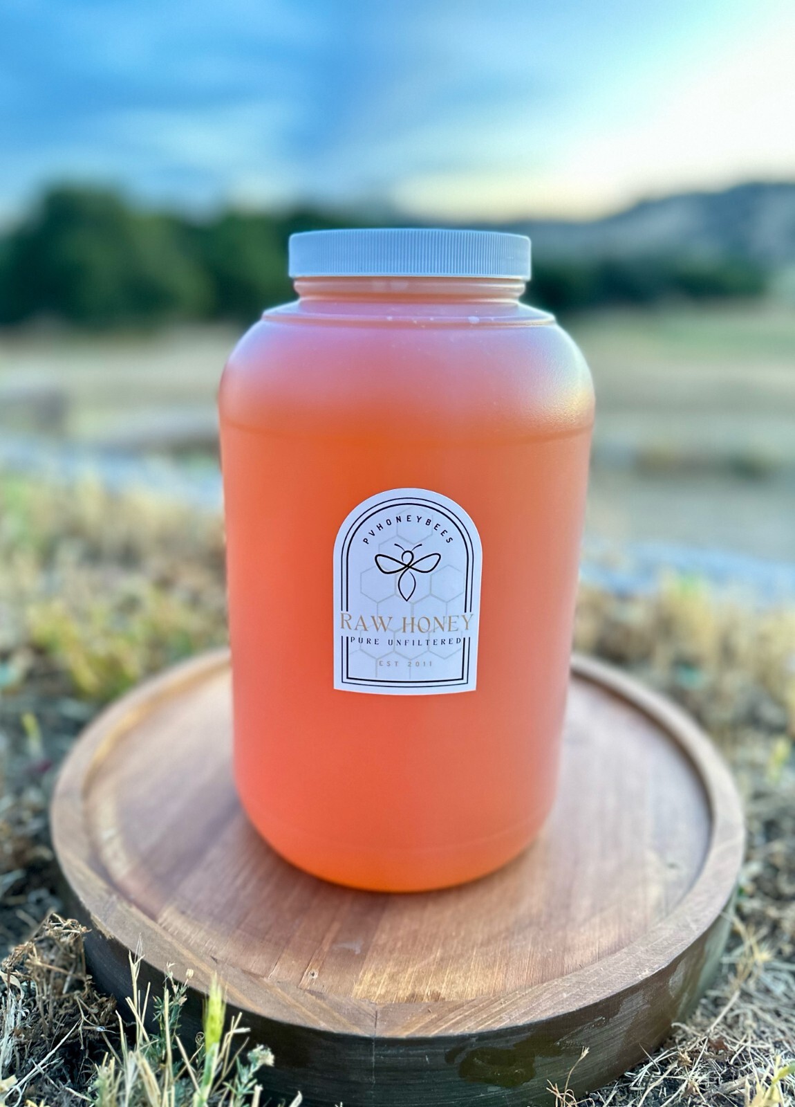 100% Raw, Unfiltered, Unheated California Orange Blossom Honey 1 Gallon, 2025