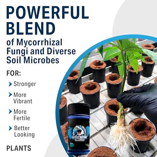 Plant Success Great White Mycorrhizal Fungi 9-Strain 387 Assorted Sizes