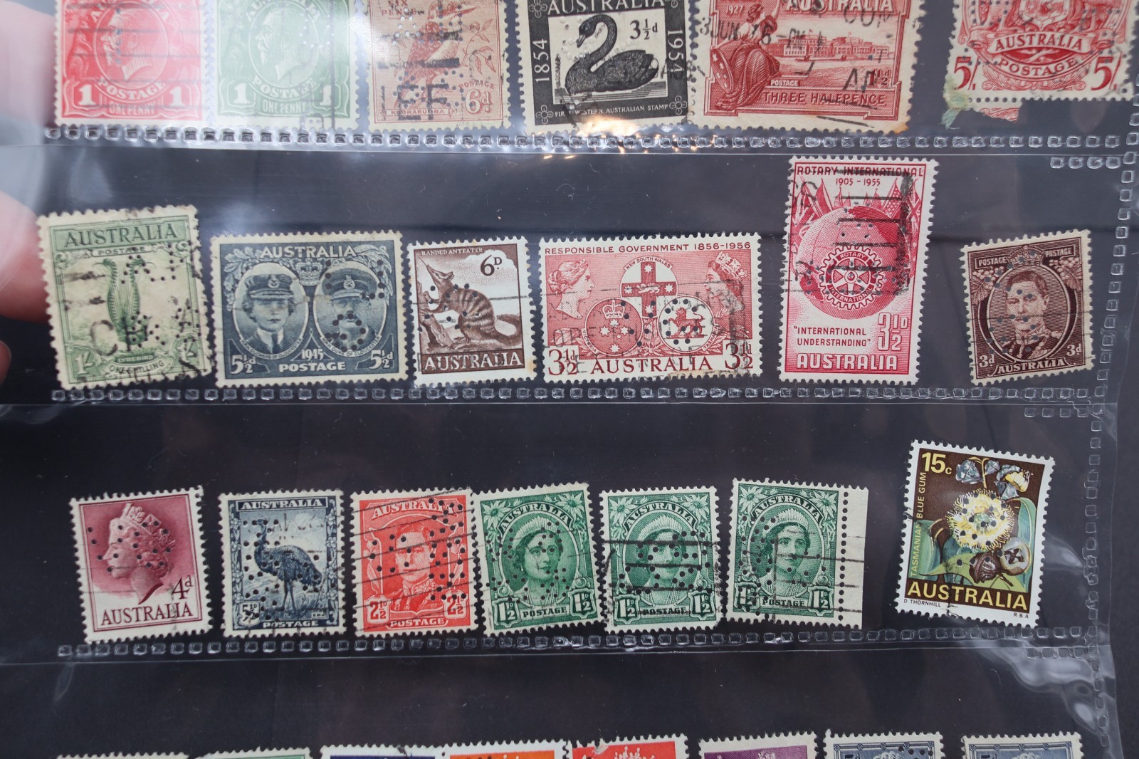 AUSTRALIA PERFIN PAGE LOT OS NSW AH&S AG VG BW&CO DJLTD