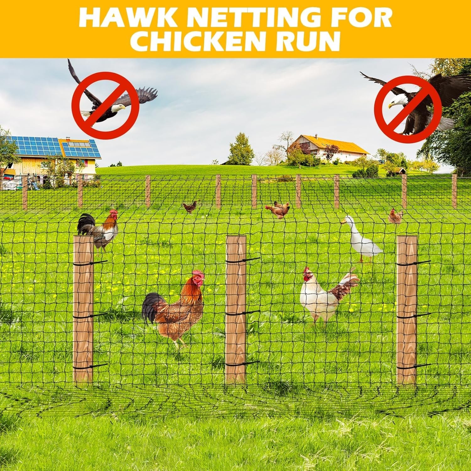 Premium Aviary Netting 25x50 FT – Heavy Duty Nylon Bird Net with 1" Mesh