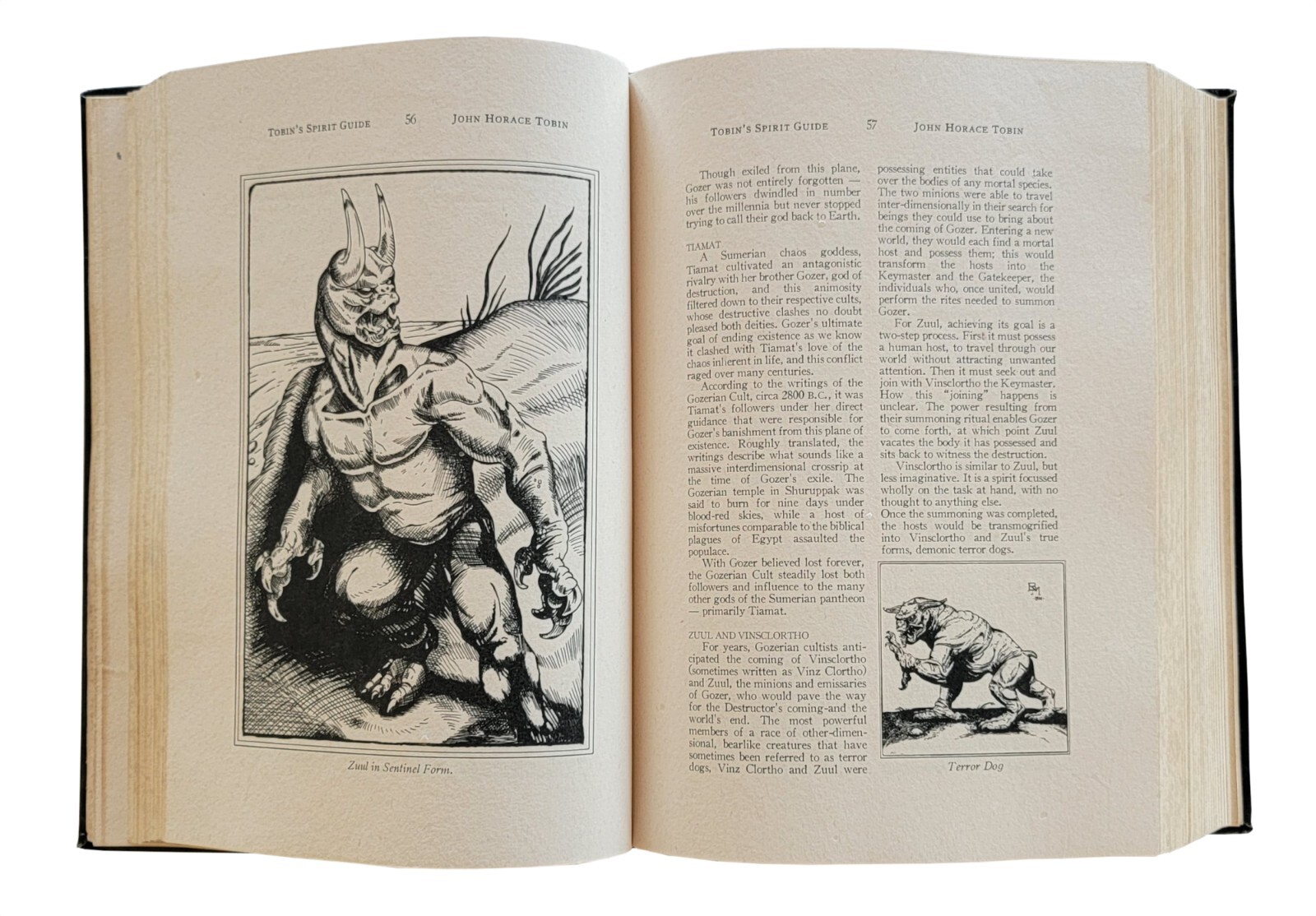 Tobin's Spirit Guide paranormal book prop