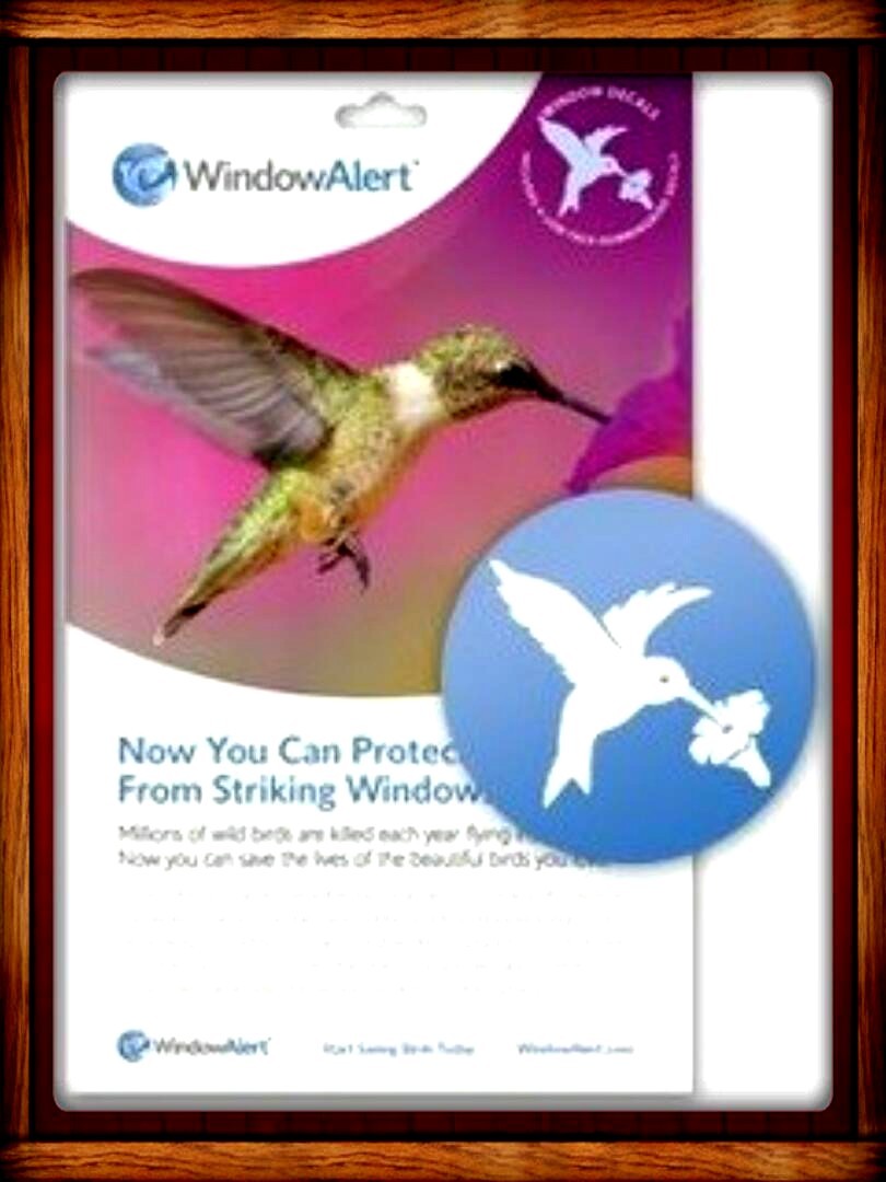 WINDOW ALERT ANTI-COLLISION CLINGS DECALS PREVENT WINDOW STRIKES HUMMINGBIRD