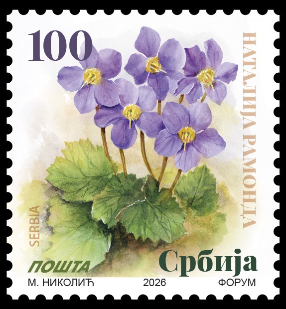 Serbia 2026, Ramonda nathaliae, flora, definitive stamps, 100d, MNH