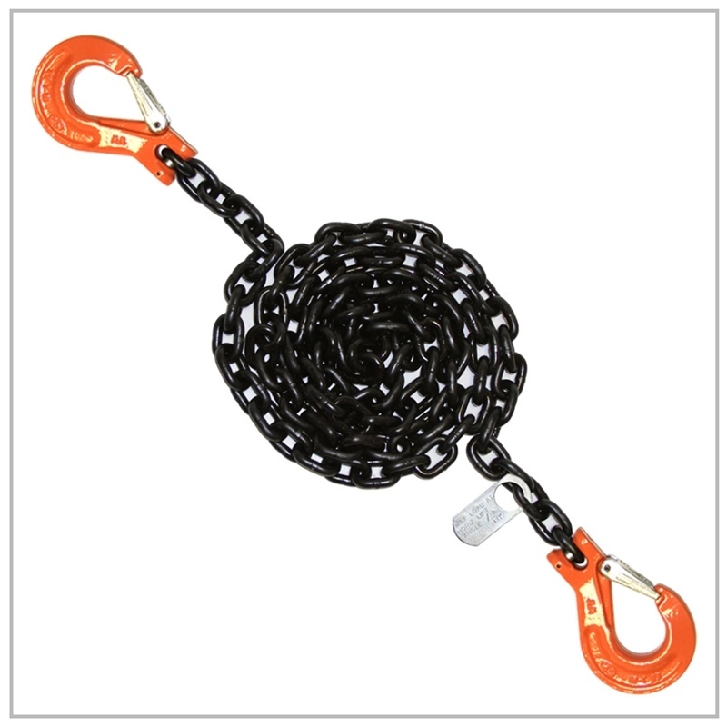 3/8 x 10' Grade 100 Lifting Chain Sling Single Leg Safety Latch Tagged Overhead