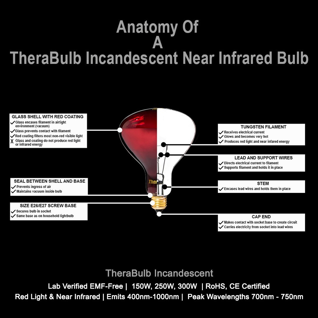 TheraBulb Near Infrared Bulb - 250W/120V - Sold by Manufacturer