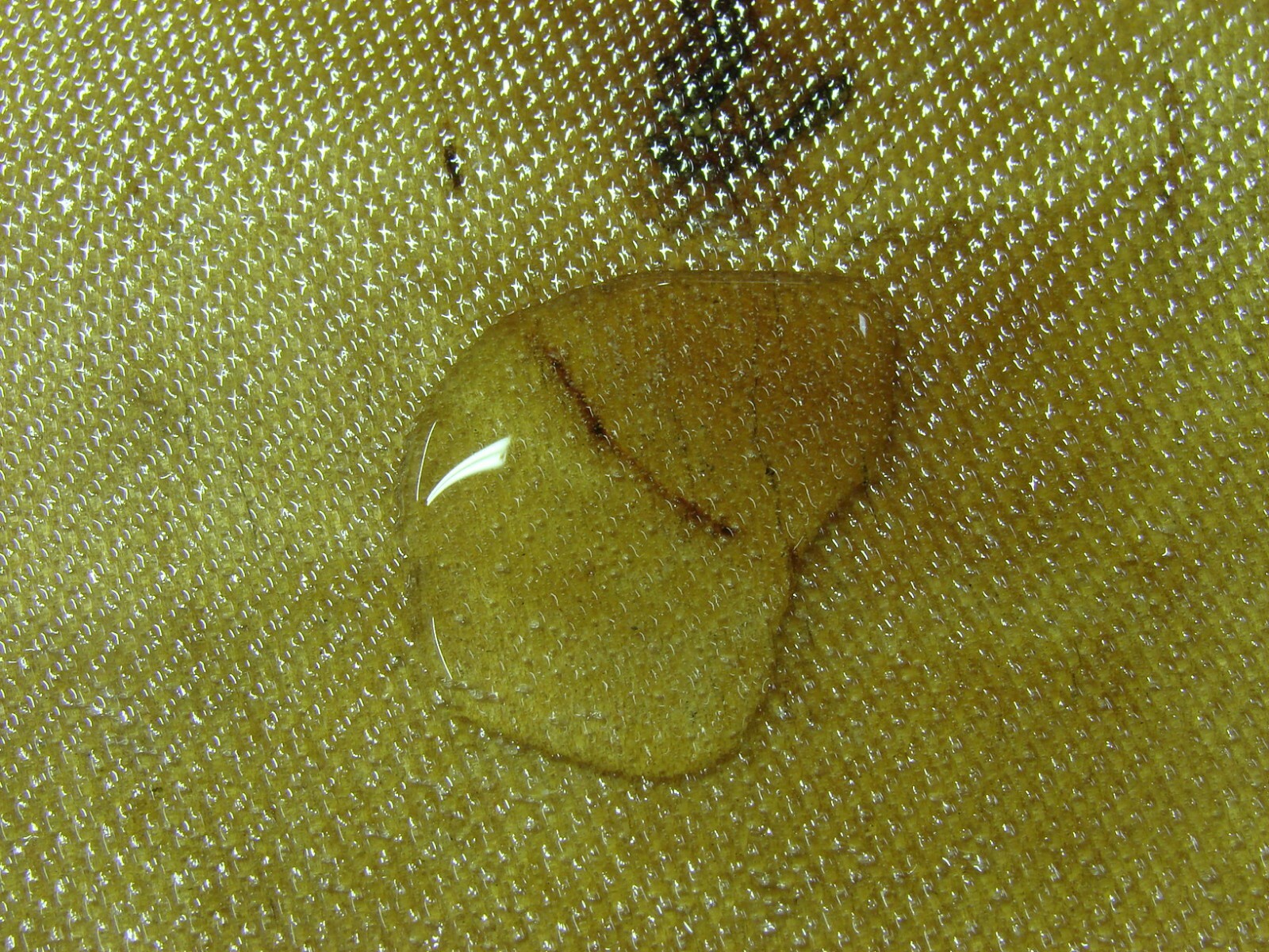 Epoxy Resin Thin Injectable Glue 4 RY Panel Delamination & Wood Rot Repair