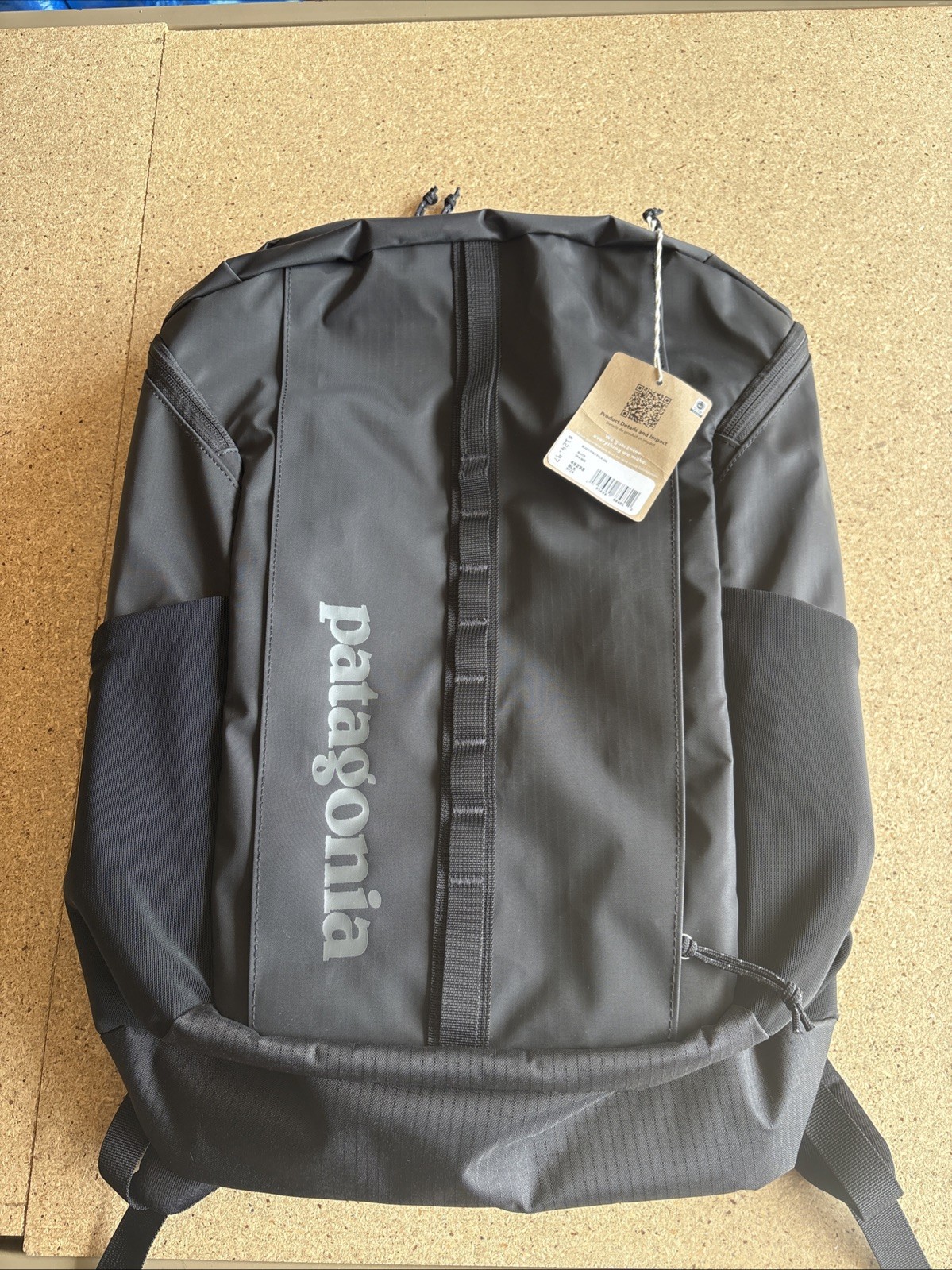 Patagonia Black Hole 'Pack 25L' (Style 49298) "Matte Black" Unisex Backpack