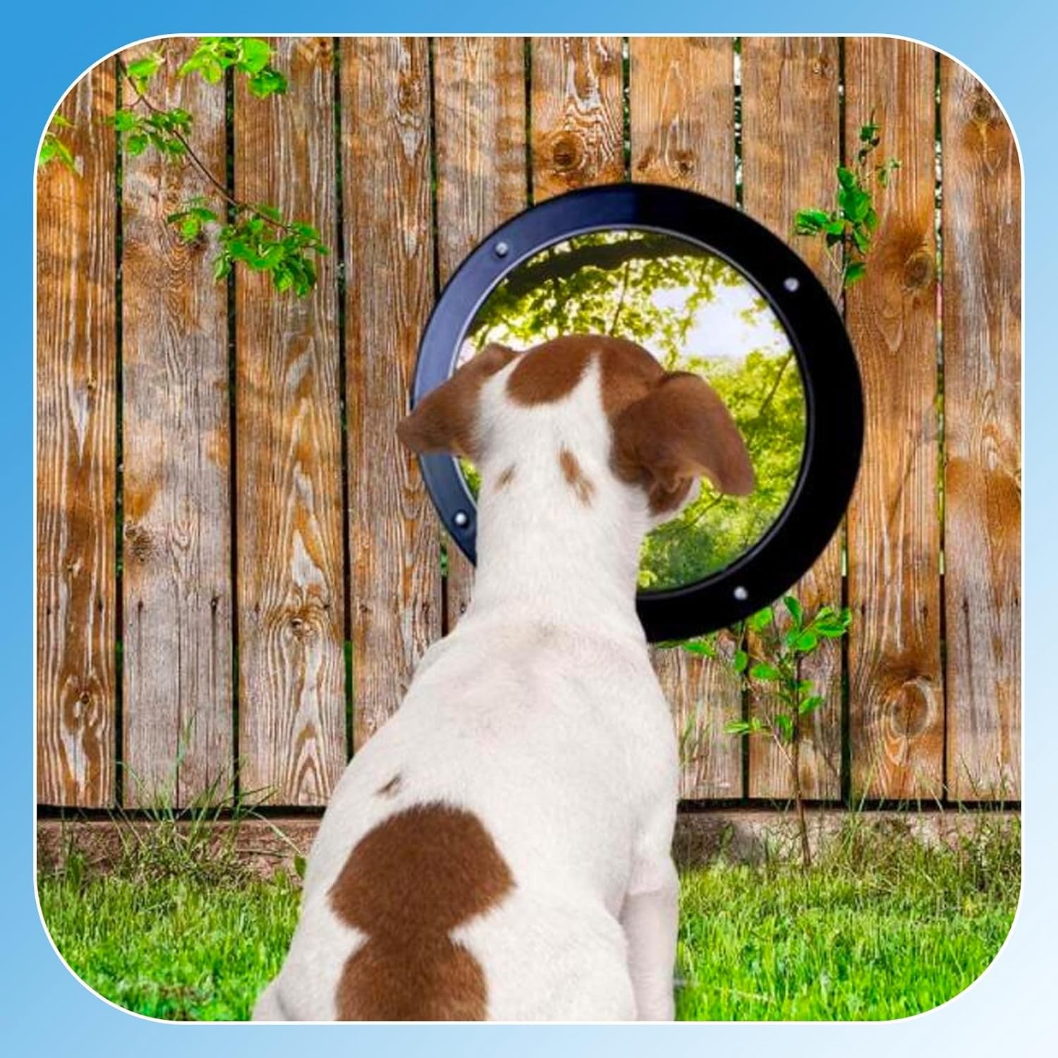 2 Pack Dog Fence Window with Air Holes Clear Pet Bubble View Dome Door Peek S...