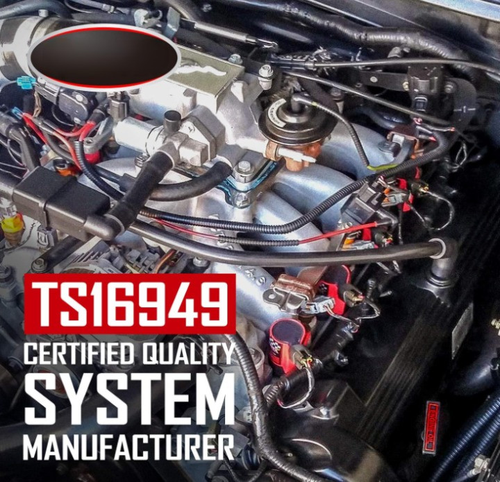 Bobinas Encendido 8 Pzs Alto Rendimiento Compatibles Ford 4.6/5.4L V8 Rojo,Nuevo