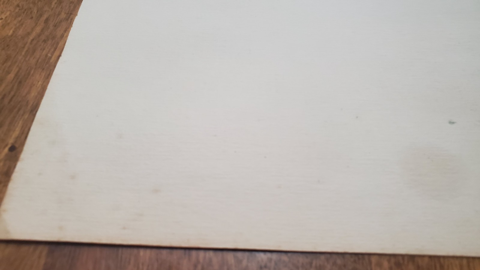 VTG Charles Wilbert White A Reflection of The Time Lithograph Framed 17x11 RARE