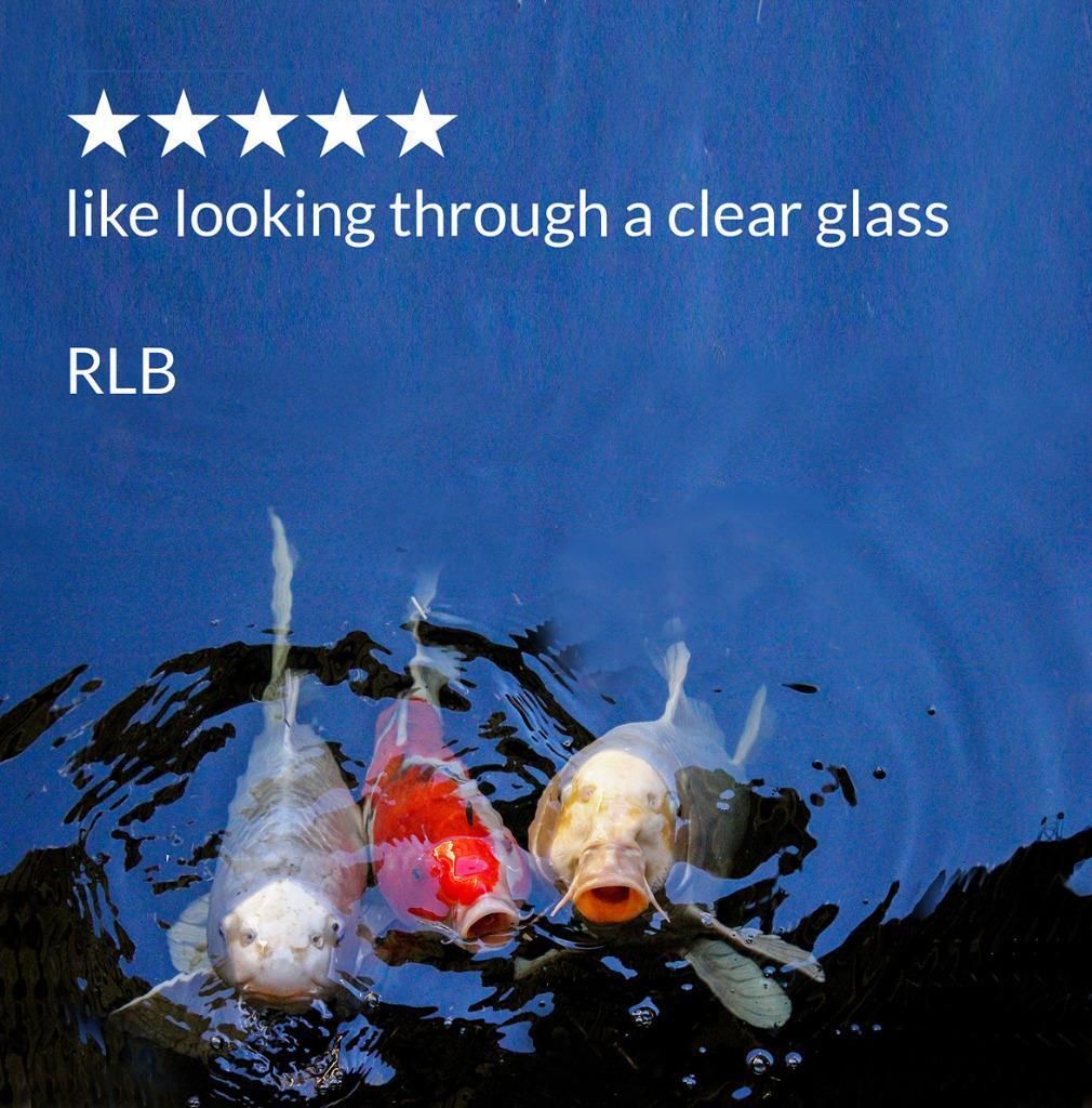 PondCare Accu-Clear Pond Clarifier 16oz treats 4800 US gal Fountains/Ponds/Aquar