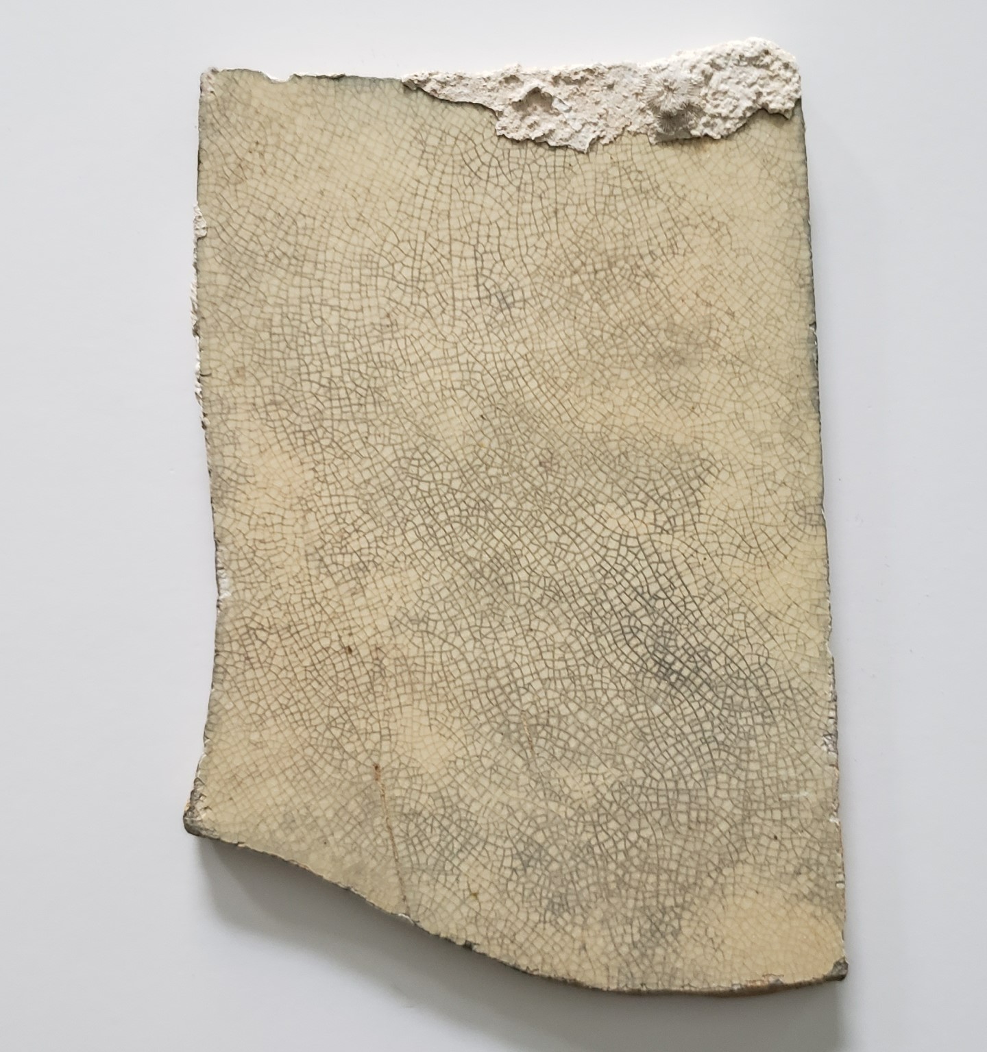 Florida Key's Shipwreck Artifact 1772 Hubbard English China Encrusted Plate #224