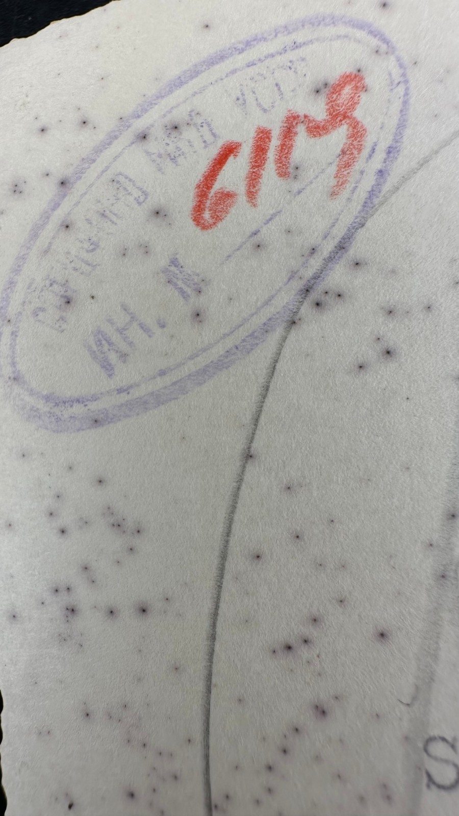 German Battleship Gneisenau During World War II