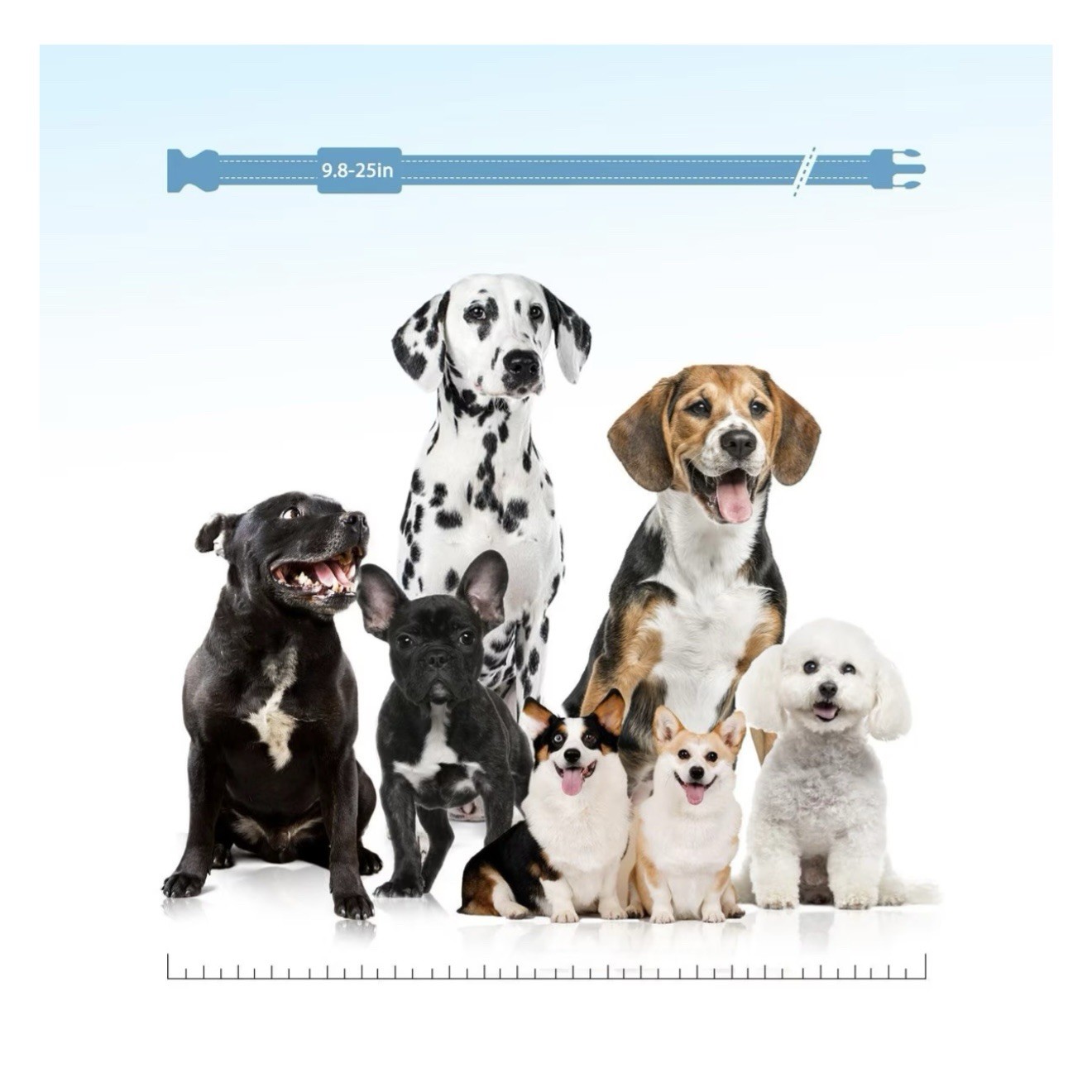 PATPET P680 NFC Pet ID Tag Bark & Remote Dog Training Electric Collar, Blue