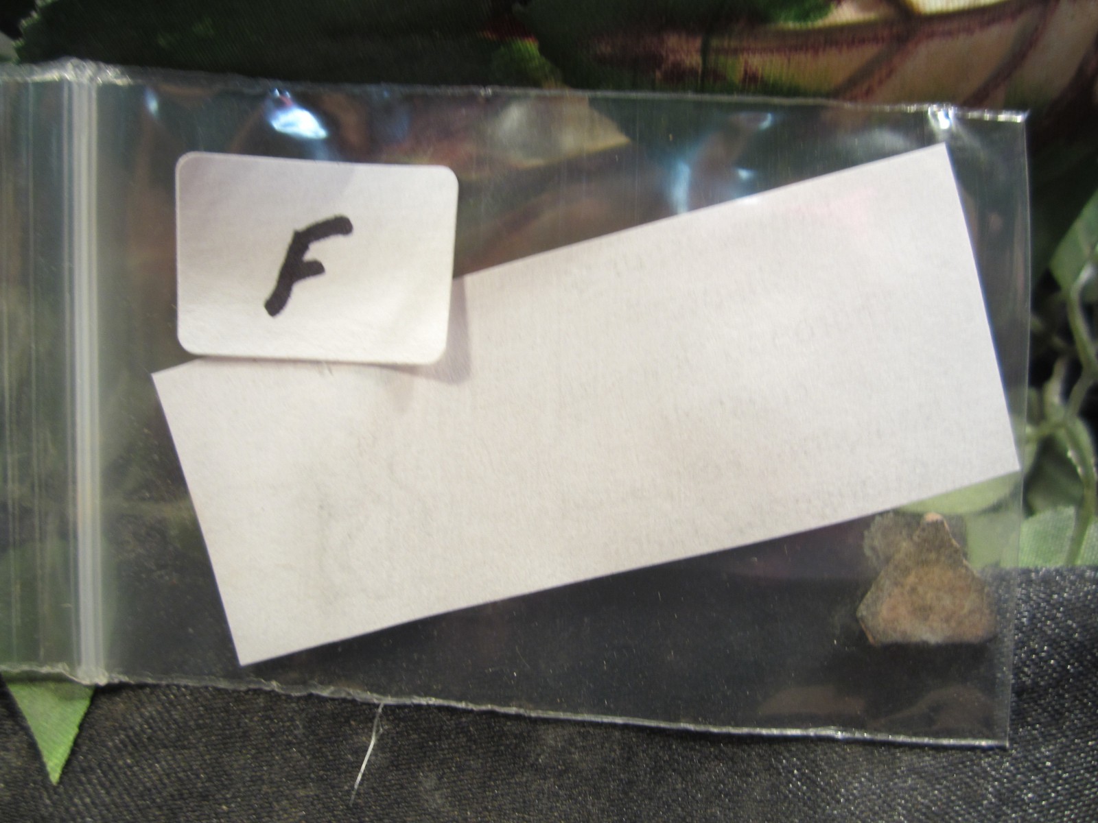 Fossilized Raptor Therapod Dinosaur Eggshell Piece with Display Label