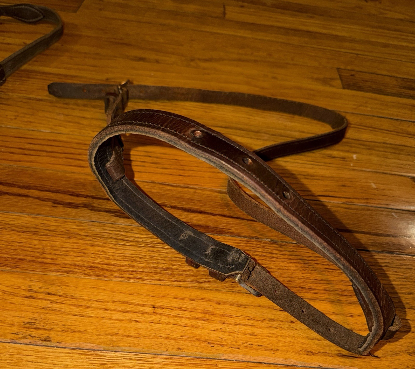 Leather Horse Head Gear and Leather/Nylon Reins