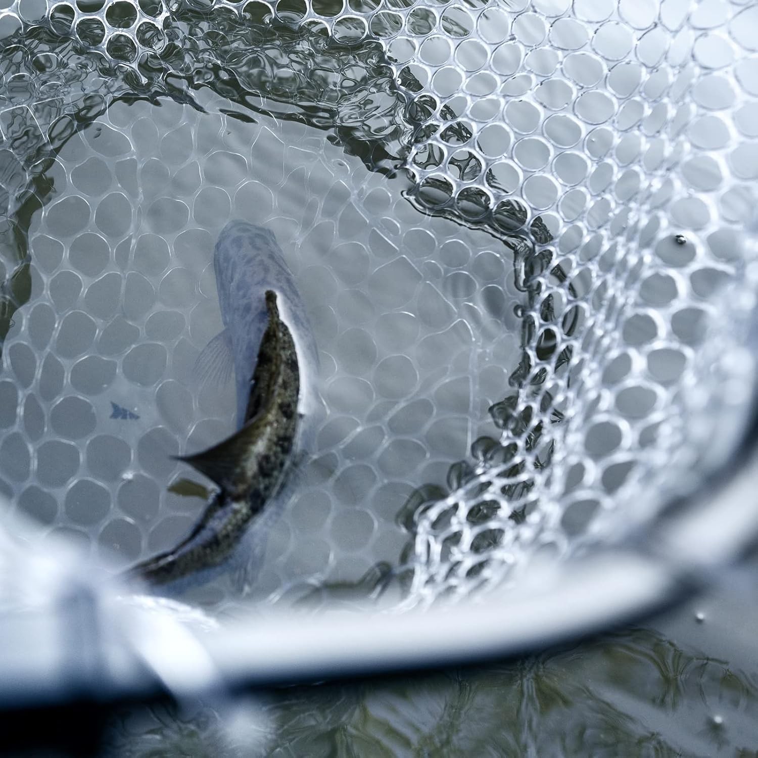 KastKing Brutus Fishing Net, Foldable Extendable Fish Landing Net, Lightweight