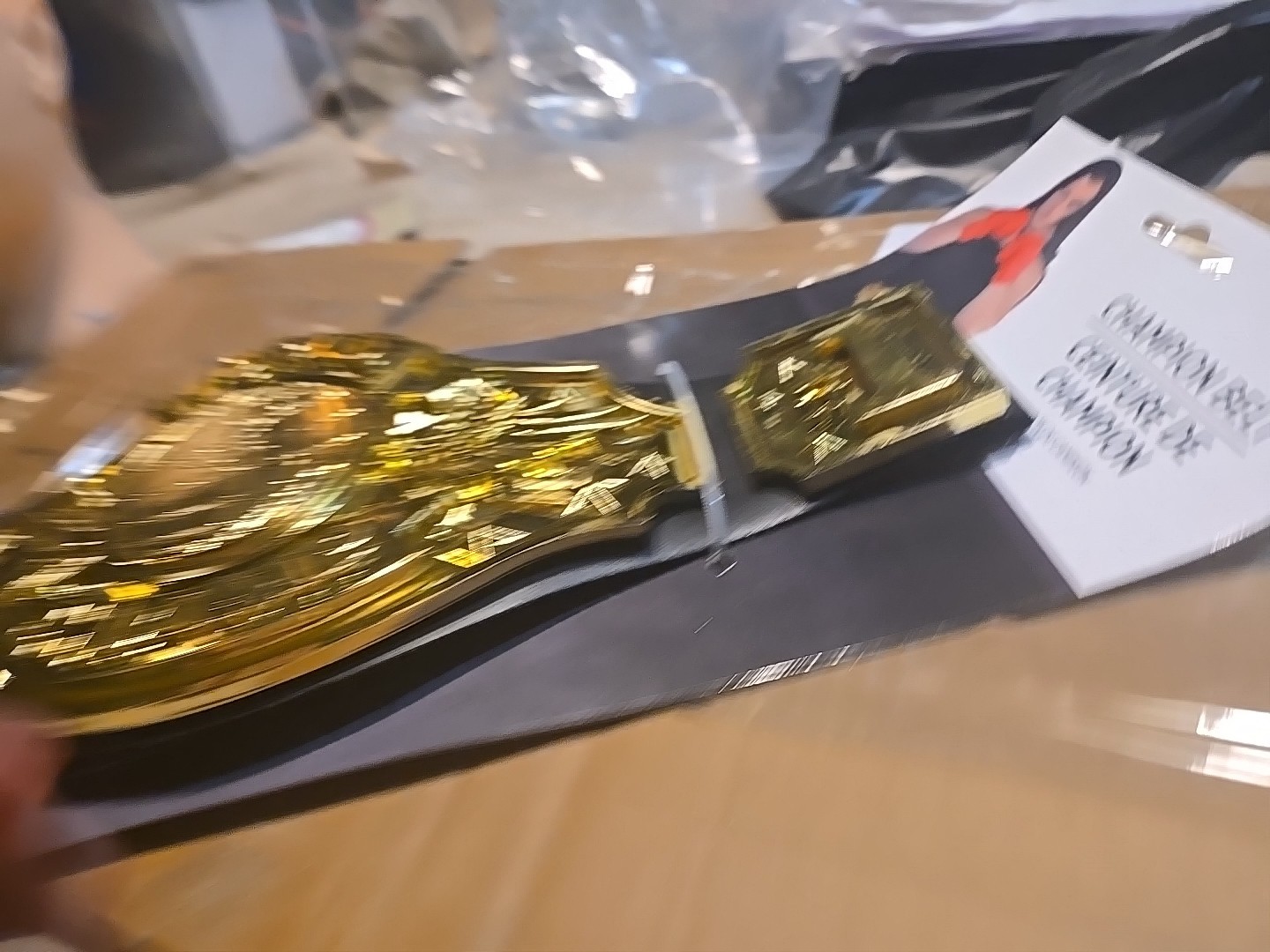 Championship Title Belt Boxing Wrestling UFC Adult Costume WWE AEW Halloween New